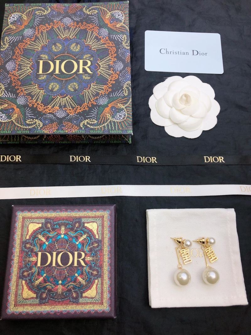 Christian Dior Earrings